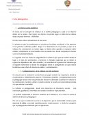 T.P N° 1 Escuela y construcción de la infancia