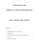 INFORME CIRUGIA