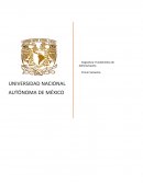 Desarrollo de la actividad: FUNCIONES DE LA ADMINISTRACIÓN