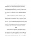 La economía ilícita