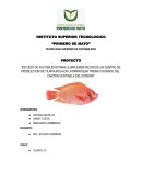 “ESTUDIO DE FACTIBILIDAD PARA LA IMPLEMENTACION DE UN CENTRO DE PRODUCCION DE TILAPIA ROJA EN LA PARROQUIA TRIUNFO DORADO DEL CANTON CENTINELA DEL CONDOR”