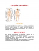La anatomía topográfica