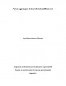 Plan de negocios para el bocadillo de mora