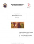 MONOGRAFÍA DE COLOIDES