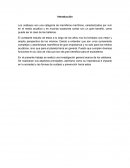 Los Cetáceos