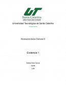 Evidencia-Socio cultural