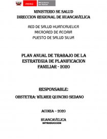 Plan anual Planificación familiar - Ensayos - 47595361