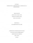 INTRODUCCIÓN A LA ADMINISTRACIÓN Y LA GERENCIA DE LAS ORGANIZACIONES