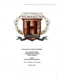 Las Etapas de la Familia (Lauro Estrada)| Andrea Olvera