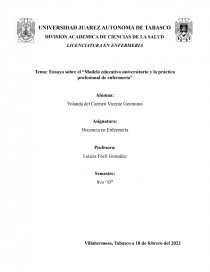 Ensayo sobre el “Modelo educativo universitario y la práctica profesional  de enfermería” - Apuntes - Yoli Vicente