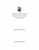 Proyecto de investigación ESTADO DEL ARTE