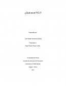 El sistema educativo se tendría que construir pensando en el desarrollo de los niños