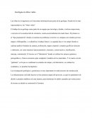 Geologia en obras viales