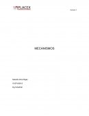 Mecanismos