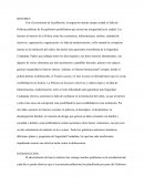 Seguridad ciudadana
