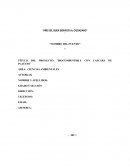 Biocombustible con cascara de platano