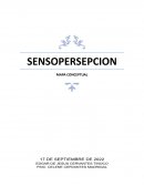 SENSOPERSEPCION MAPA CONCEPTUAL