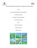 Tipos de plantas generadoras de energia eléctrica