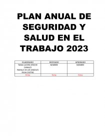 PLAN ANUAL DE SEGURIDAD Y SALUD EN EL TRABAJO 2023 - Informes - tania Atoche