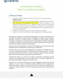 LA ENTREVISTA LABORAL
