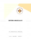 La física en la medicina