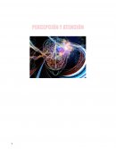 Tema 1 de percepción y antención