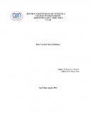 Educación multimodal