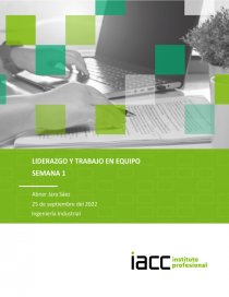 Liderazgo y trabajo en equipo . “Liderazgo coercitivo o autoritario”. Página 1