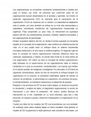 Supuestos básicos del desarrollo organizacional