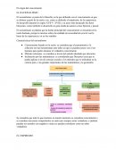 El origen del conocimiento