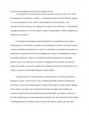 Función de reproducción en seres vivos