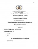 Los aminoácidos esenciales y no esenciales