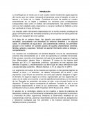 Introduccion sobre la morfologia externa de un insecto