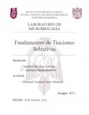 Fundamento de las tinciones diferenciales