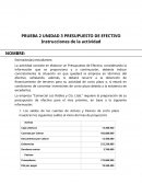 Presupuesto de efectivo