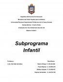 Materno Infantil. Subprograma Infantil