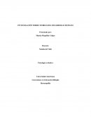 Investigación sobre teorias del desarrollo humano. Teoría del desarrollo psicosexual: Freud