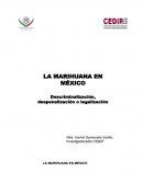 La marihuana en México. Descriminalización, despenalización o legalización