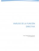 Análisis de la función directiva