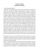 Filosofia del derecho y la realidad jurídica