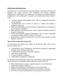 Alteraciones del sistema óseo