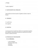 La piña y la gelatina