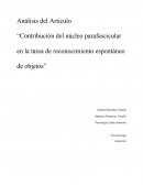 Análisis del Articulo - Contribución del núcleo parafascicular en la tarea de reconocimiento espontáneo de objetos