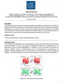 Informe bioquímica Amilasa salival