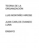 Teoria de la organización, comportamiento ilógico de acuerdo con Elton Mayo