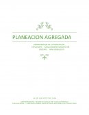 Planeación agregada. Tiempo de Ciclo