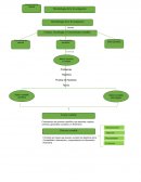 Mapa Conceptua.l Metodología del conocimiento