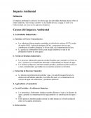 Consecuencias del Impacto Ambiental