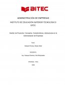 Gestión de Proyectos: Conceptos, características y aplicaciones en la administración de empresas