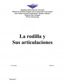 Cuadro resumen descriptivo de las articulaciones de la rodilla